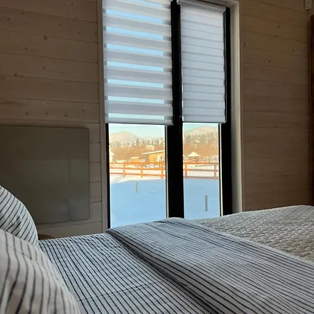 Barn S&s House Дом отдыха Микуличин