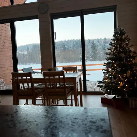 Barn S&s House