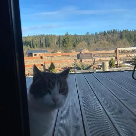 Barn S&s House Дом отдыха Микуличин