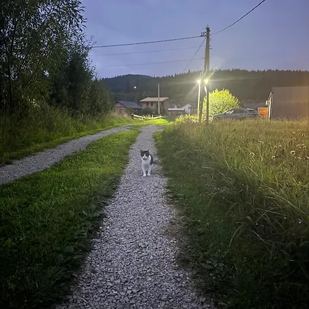 Barn S&s House * Mikuliczyn